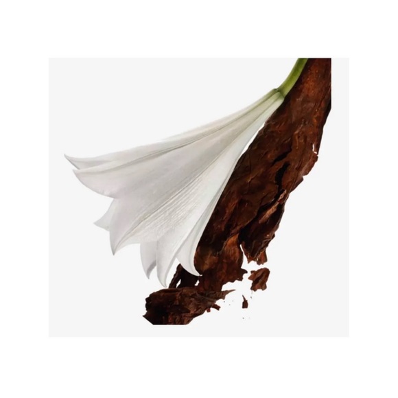 YVES SAINT LAURENT Mon Paris Eau de Parfum - .33 fl oz NIB *PRICE FIRM* - Picture 3 of 7